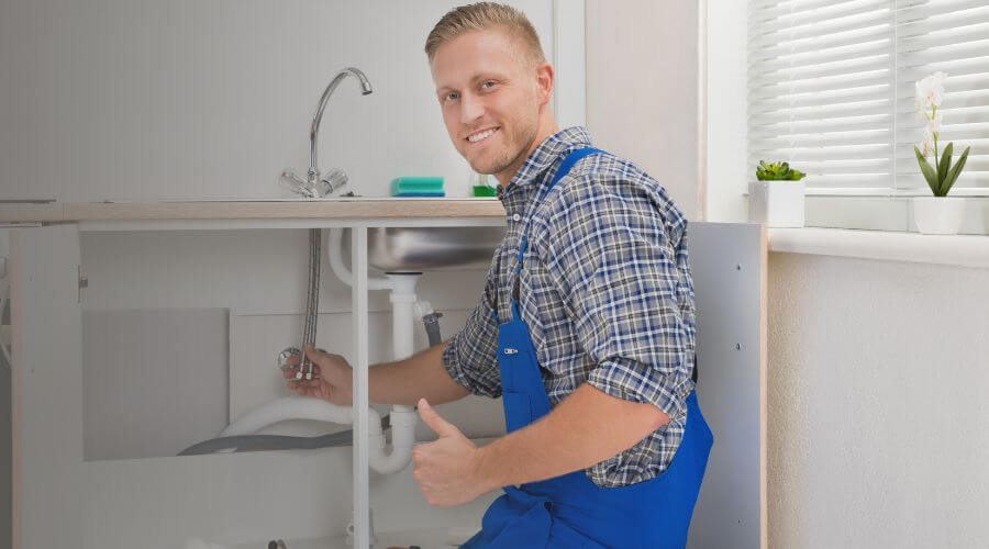 Holiday Plumbing Service in Mineral, IL